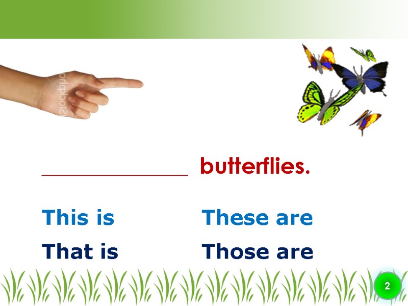 This is These are ________________  butterflies. 2 That is Those are